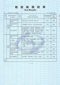 Inspection and Test Report-4